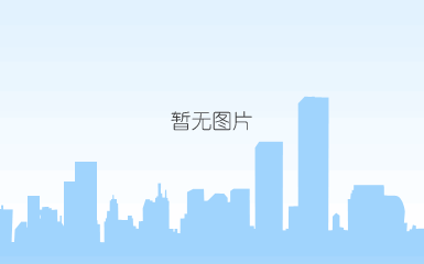 公司愿景(图1)